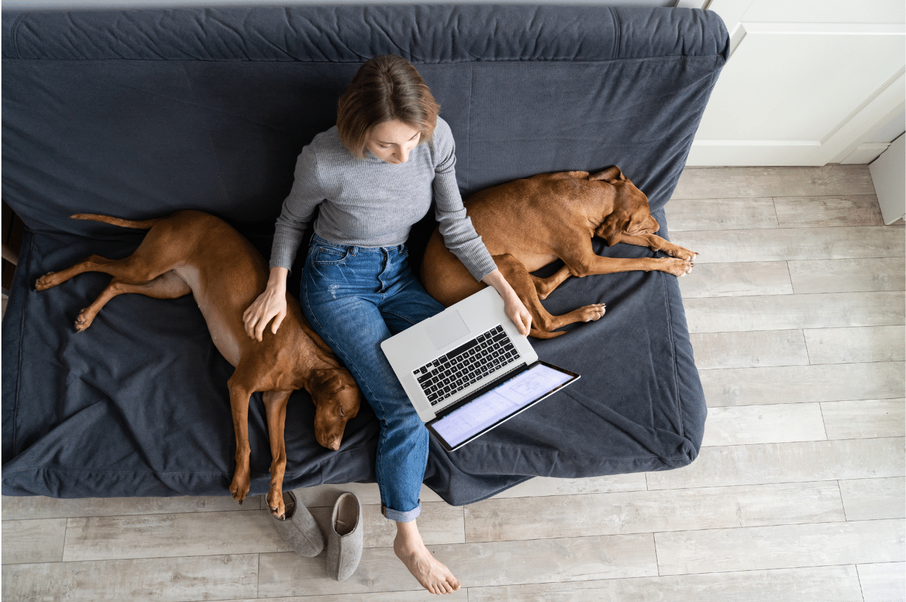Aerial shot of a woman sitting on a sofa looking at a laptop with a large dog laying on either side of her.