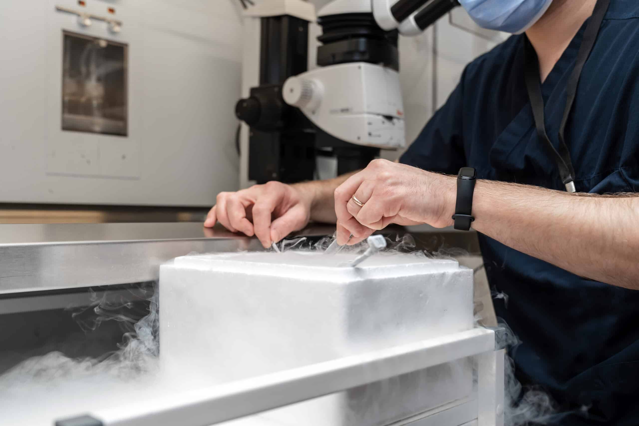 A male doctor cryopreserving female eggs in a lab