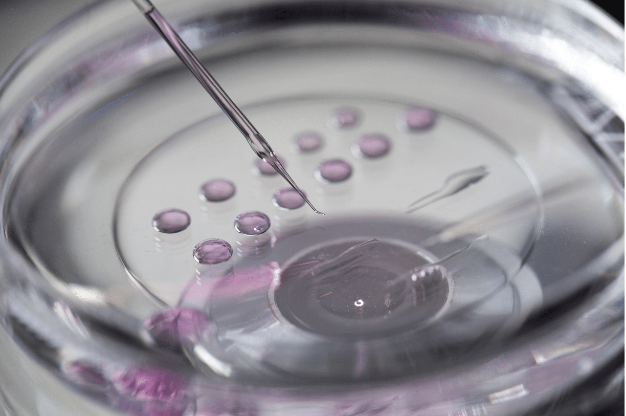 Photo of a petri dish