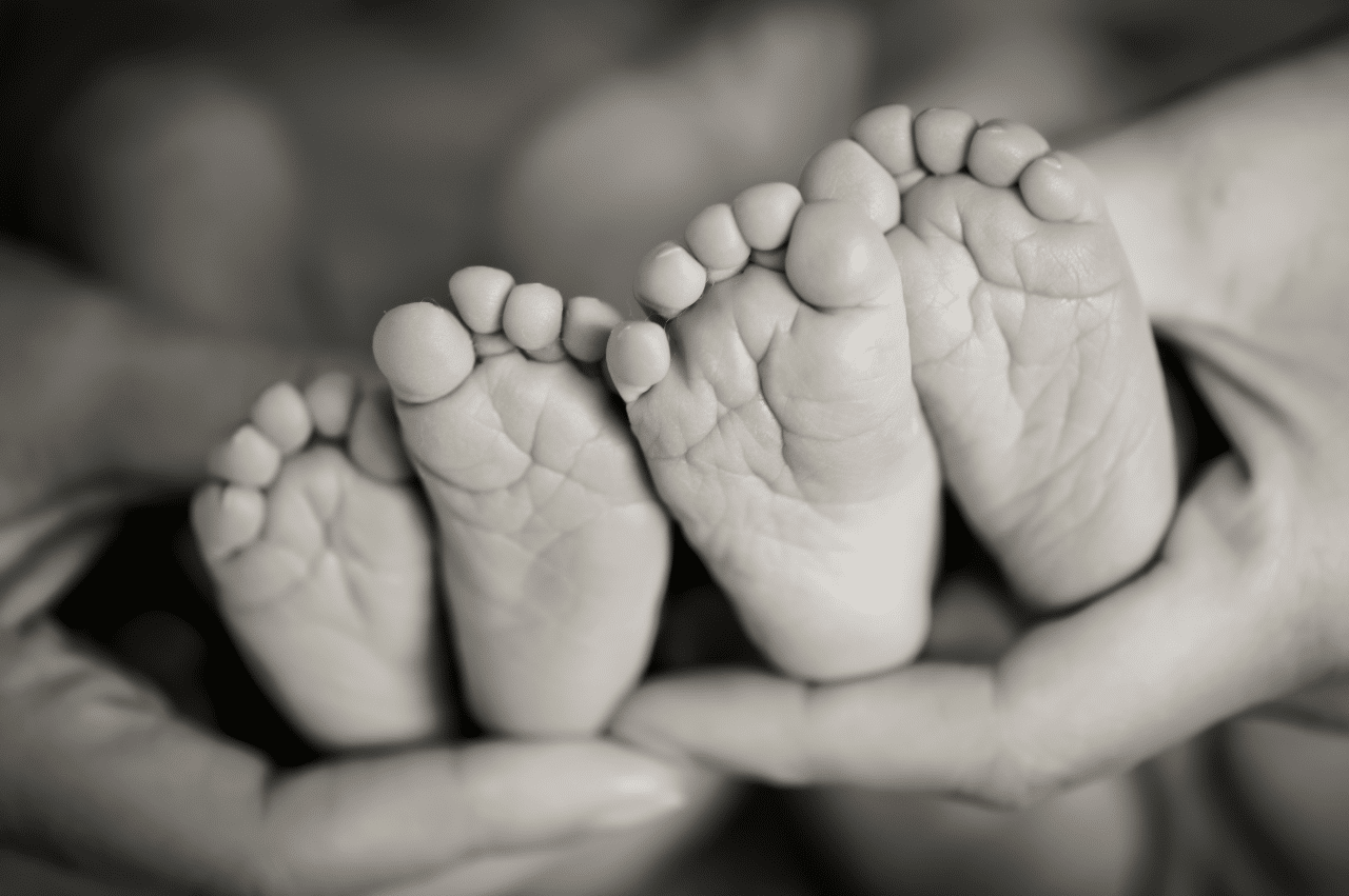 Two adult hands hold 4 tiny