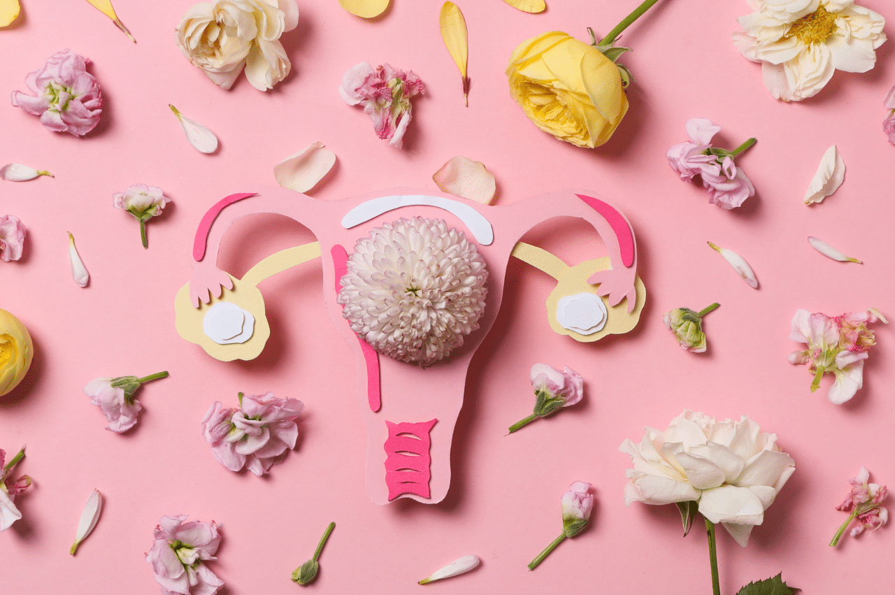 Paper cut out of a uterus surrounded by different petals and flowers. The background is solid light pink.