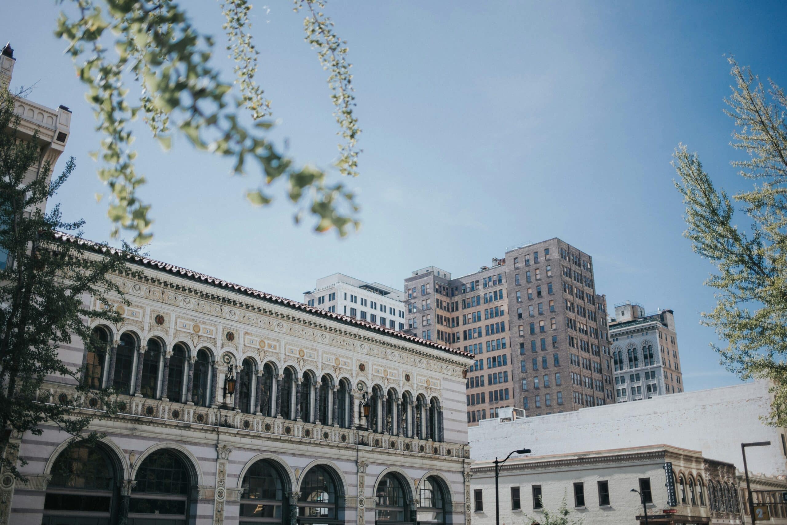 Alabama Supreme Court Ruling