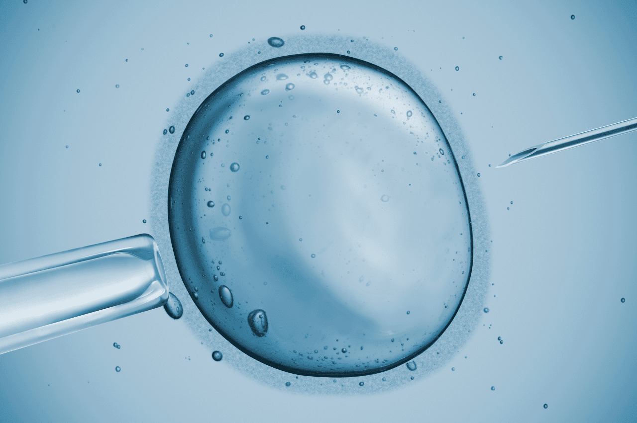 Microscopic view of IVF