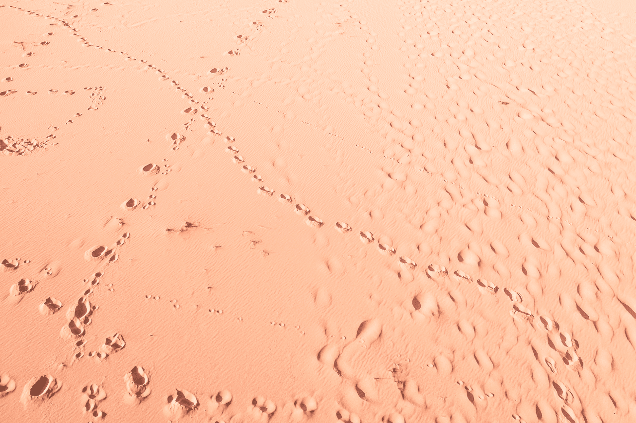 Footprint tracks in sand