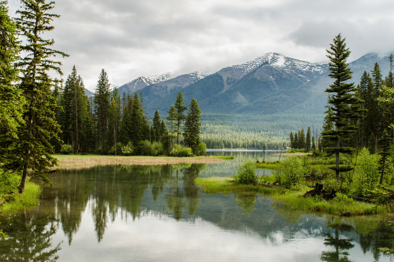 Photo of a lake with trees surrounding it