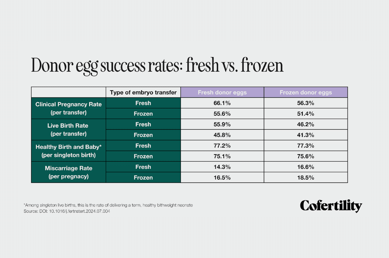 Table showing the success rates for clinical pregnancy
