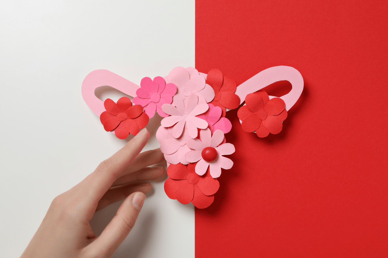 Top view of a paper uterus with flowers and female hand on red and white background