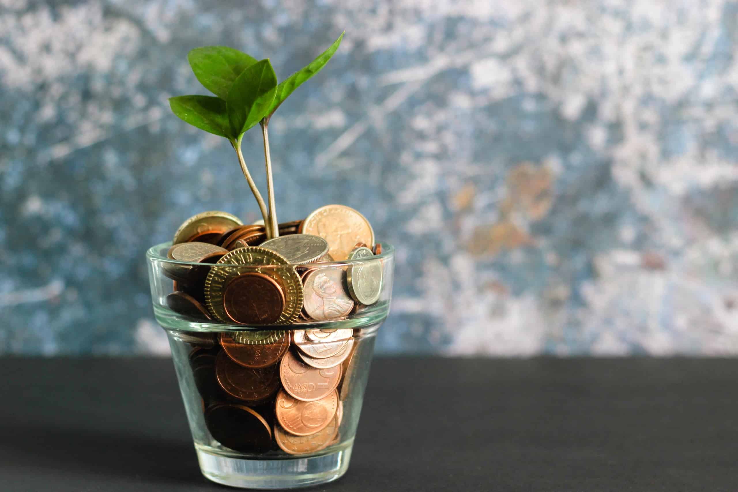 Jar of coins with seedling sprouting.