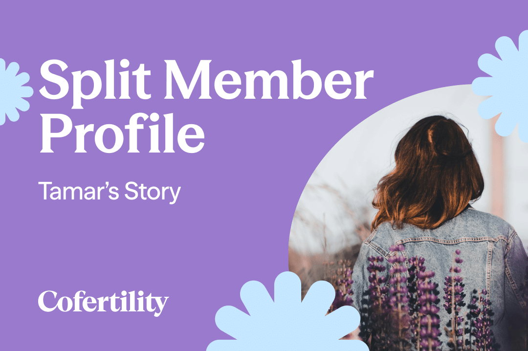 split member profile